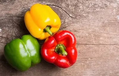 can I give my canary peppers?