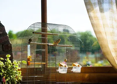 do canaries like mirrors in their cage?