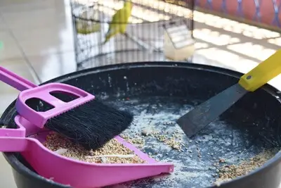 how to keep a canary cage clean